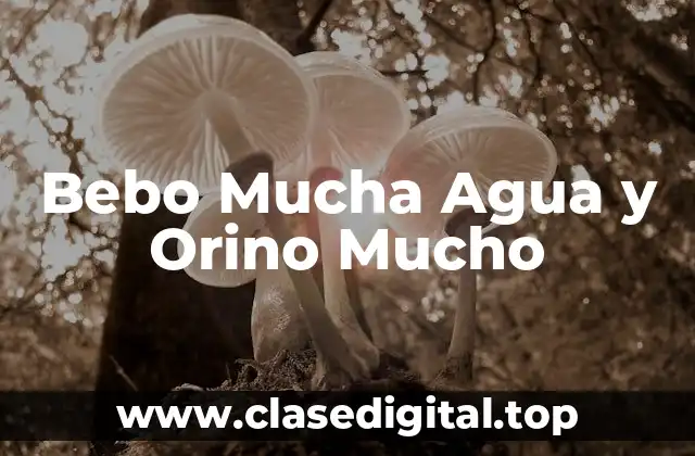 ¿Cuánta Agua Debo Beber al Día?