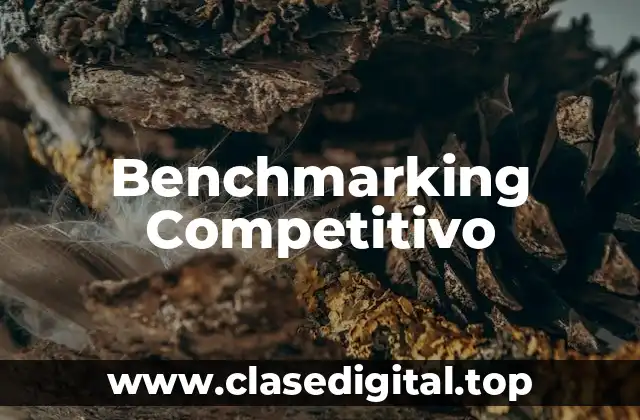 Benchmarking Competitivo