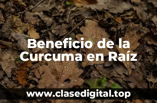 Beneficio de la Curcuma en Raíz