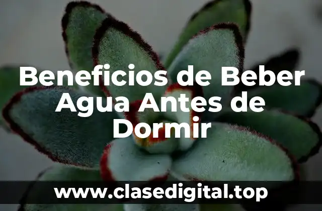 ¿Cómo Afecta la Hidratación al Sueño?