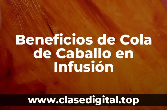 Beneficios de Cola de Caballo en Infusión