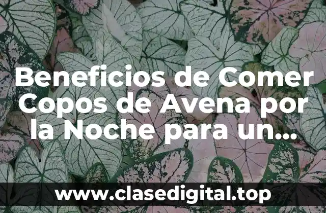 Beneficios de Comer Copos de Avena por la Noche para un Sueño Mejor
