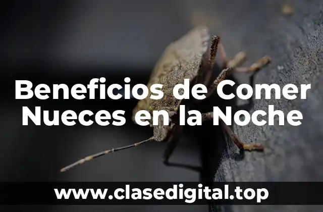 Beneficios de Comer Nueces en la Noche