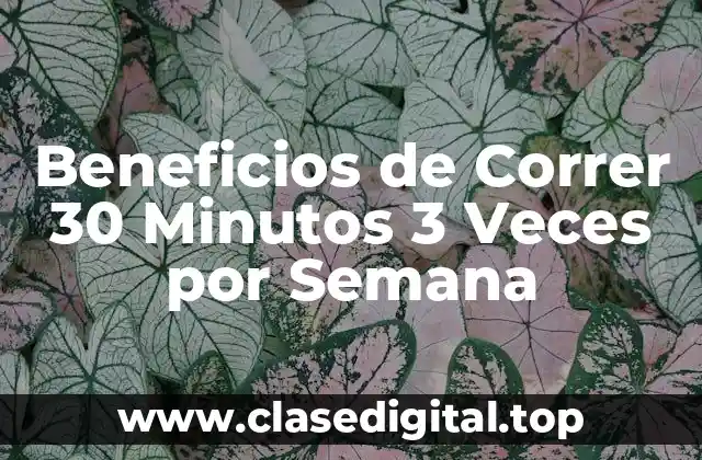 ¿Cuáles son los Beneficios Cardiovasculares de Correr 30 Minutos 3 Veces por Semana?