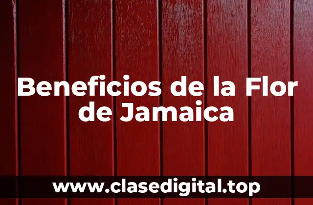 Beneficios de la Flor de Jamaica