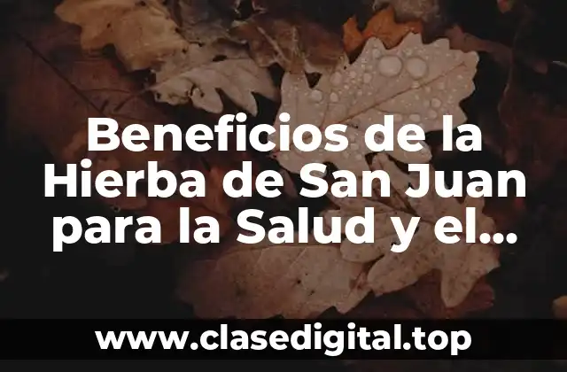 Beneficios de la Hierba de San Juan para la Salud y el Bienestar