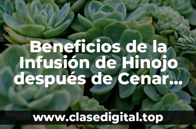Beneficios de la Infusión de Hinojo después de Cenar para una Digestión Saludable
