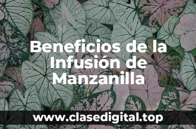 Beneficios de la Infusión de Manzanilla
