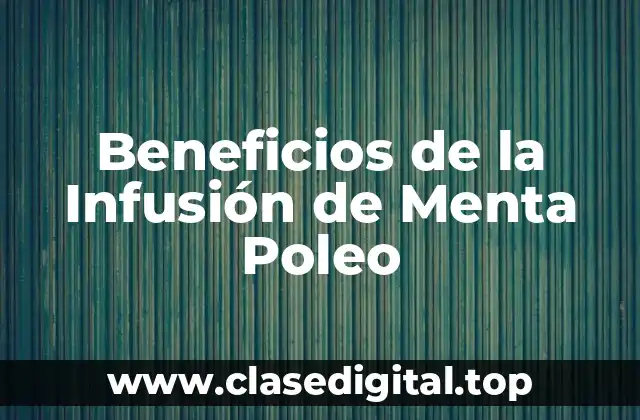 ¿Cuáles son los componentes activos de la infusión de menta poleo?