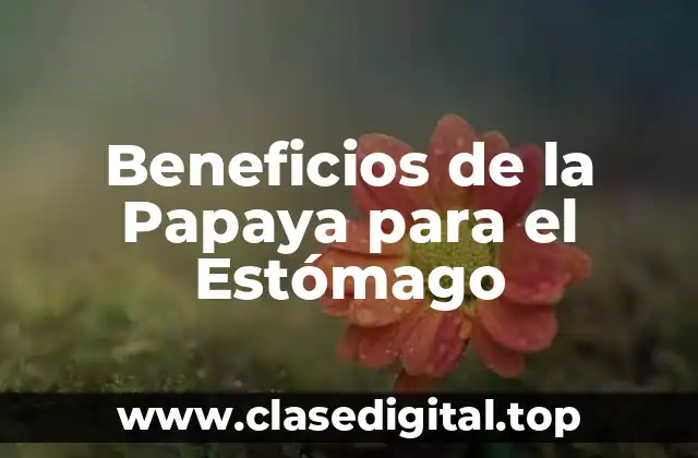 ¿Qué es la Papaya y Cómo se relaciona con la Salud del Estómago?