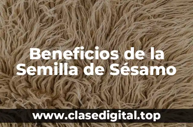Riqueza Nutricional de la Semilla de Sésamo