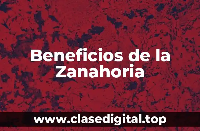 ¿Cuáles son los Nutrientes que se Encuentran en la Zanahoria?