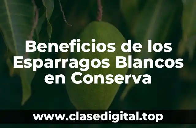 Beneficios de los Esparragos Blancos en Conserva