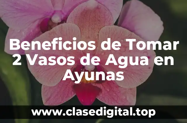 Beneficios de Tomar 2 Vasos de Agua en Ayunas