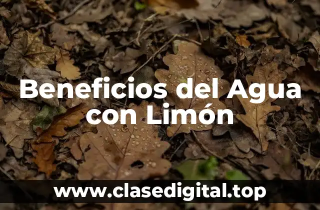 Propiedades Nutricionales del Agua con Limón