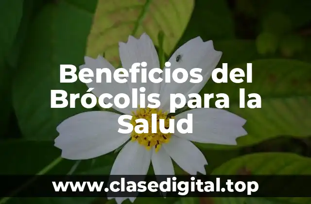 Beneficios del Brócolis para la Salud