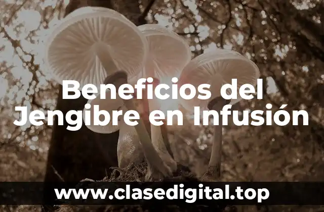 Beneficios del Jengibre en Infusión