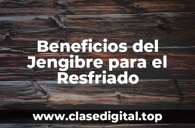 ¿Qué es el Jengibre y Cómo Funciona?