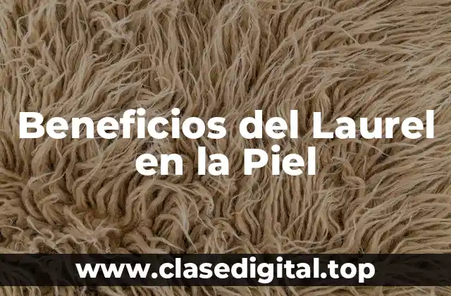 Beneficios del Laurel en la Piel