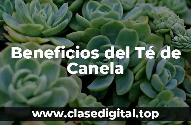 Beneficios del Té de Canela