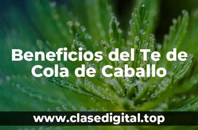 Beneficios del Te de Cola de Caballo
