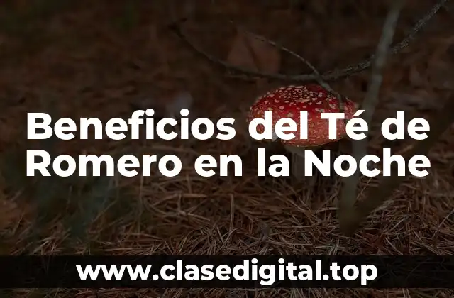 ¿Qué es el Té de Romero?
