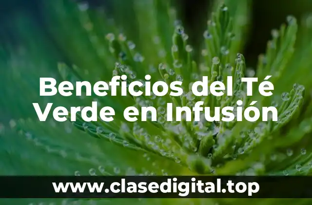 Beneficios del Té Verde en Infusión