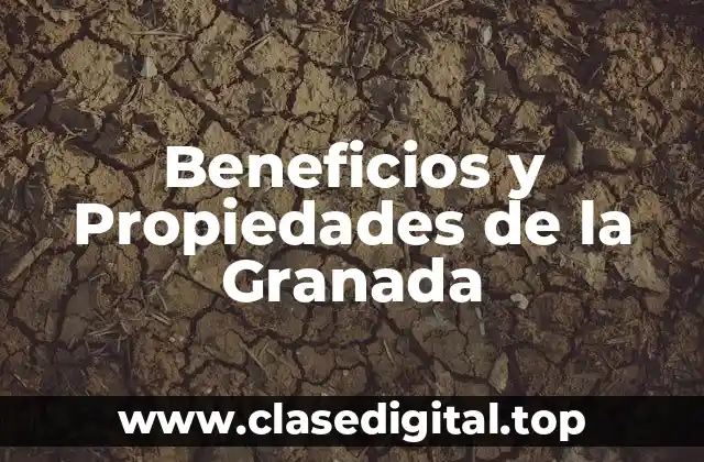 Propiedades Nutricionales de la Granada