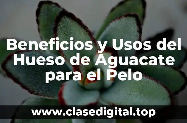 Beneficios y Usos del Hueso de Aguacate para el Pelo