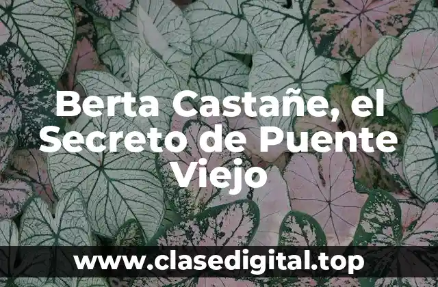 Berta Castañe, el Secreto de Puente Viejo