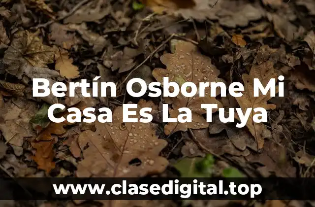 Bertín Osborne Mi Casa Es La Tuya
