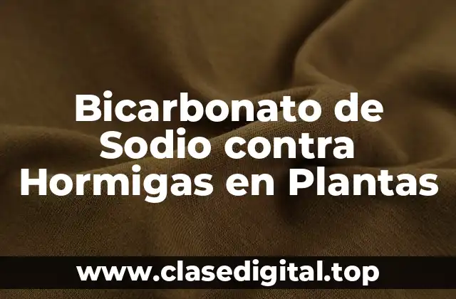 Bicarbonato de Sodio contra Hormigas en Plantas