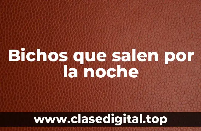 ¿Qué son los bichos que salen por la noche?