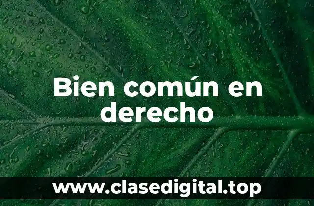 Bien común en derecho