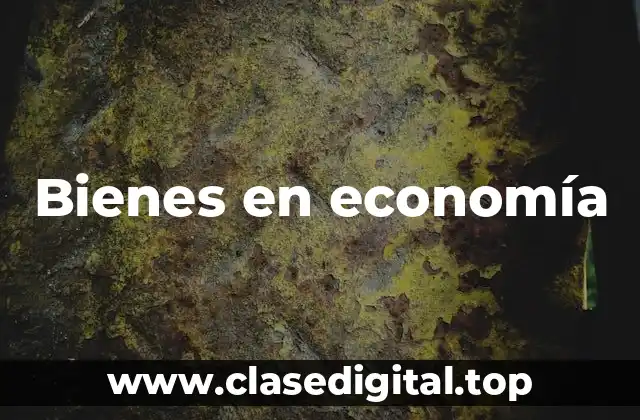 Bienes en economía