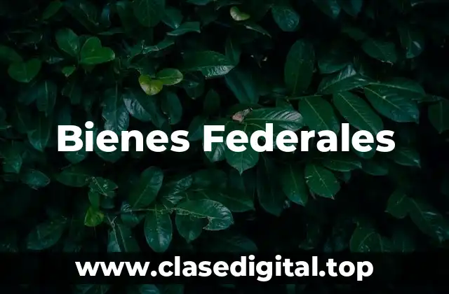 Bienes Federales