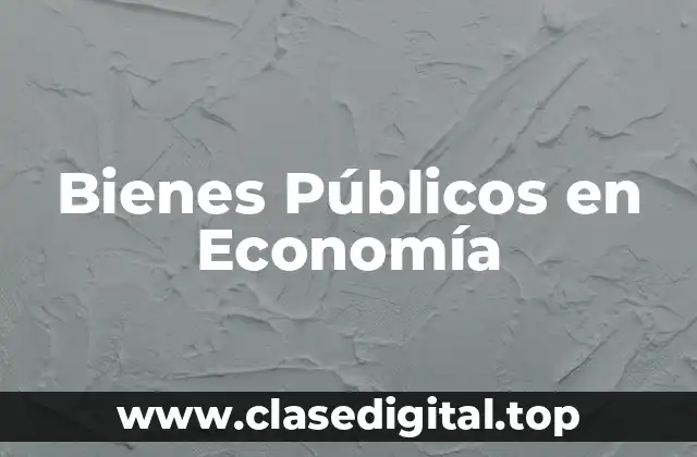 Bienes Públicos en Economía