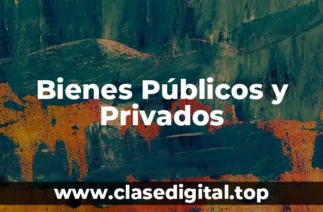Bienes Públicos y Privados