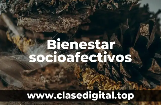 Bienestar socioafectivos