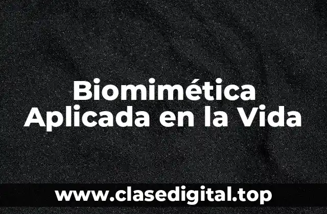 Biomimética Aplicada en la Vida