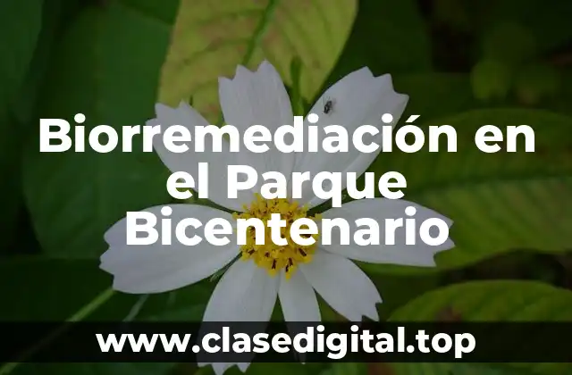 Biorremediación en el Parque Bicentenario