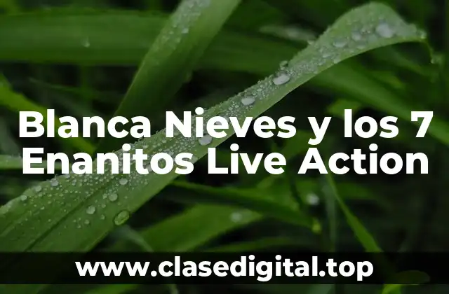 La Historia detrás de Blanca Nieves y los 7 Enanitos