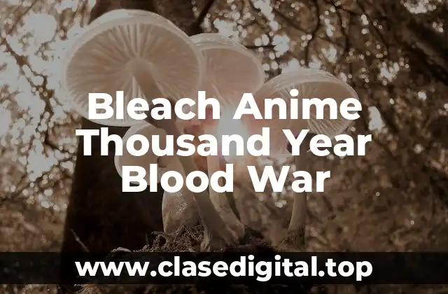 Bleach Anime Thousand Year Blood War