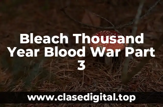 Bleach Thousand Year Blood War Part 3