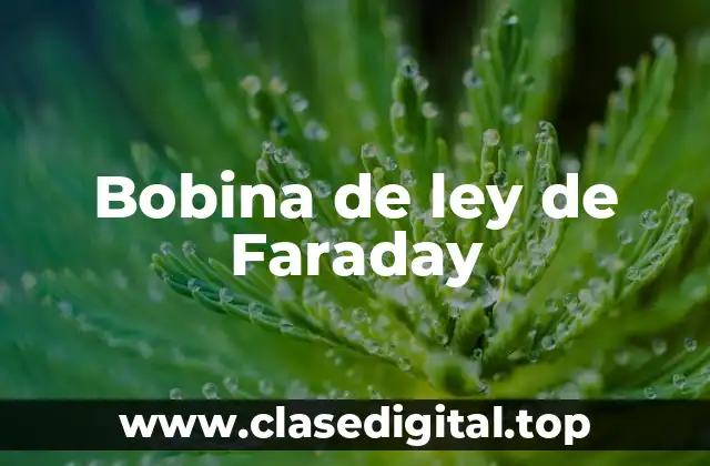Bobina de ley de Faraday