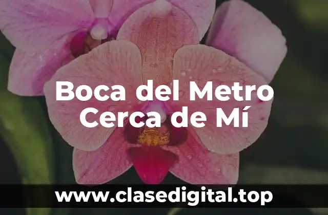 ¿Por qué es Importante Encontrar la Boca del Metro Cerca de Mí?