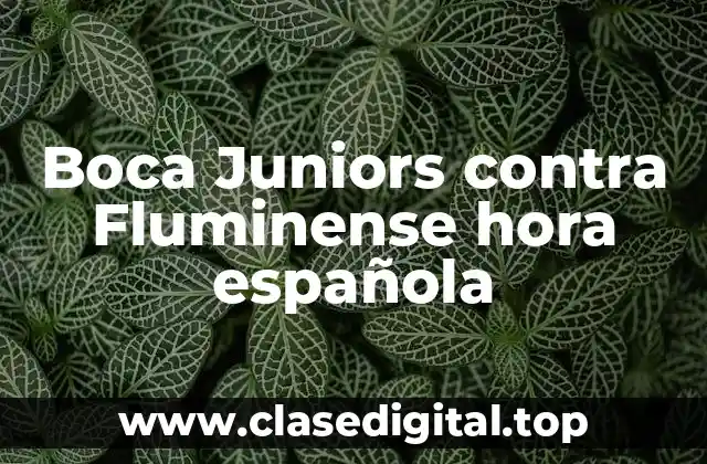 Boca Juniors contra Fluminense hora española