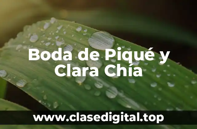 Boda de Piqué y Clara Chía