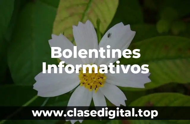 Bolentines Informativos