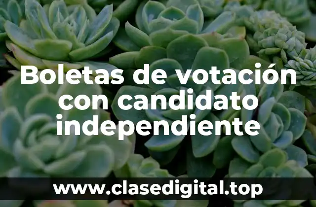 Boletas de votación con candidato independiente